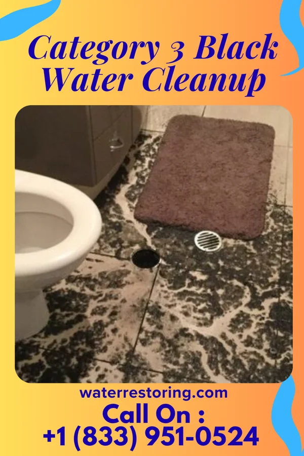 Category 3 Black Water Cleanup in Bug Tussle, OK